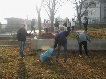 Ден на дрвото 24-12-2015 - слика 1