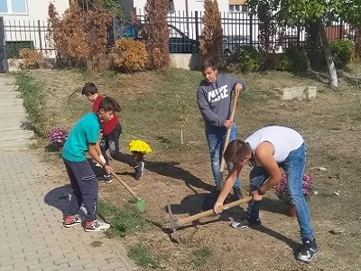 Hortikulturno Ureduvanje Na Ucilisniot Dvor 11