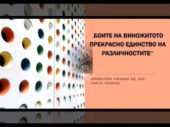 Боите на виножитото: Прекрасно единство на различностите 11-03-2021 - слика 1