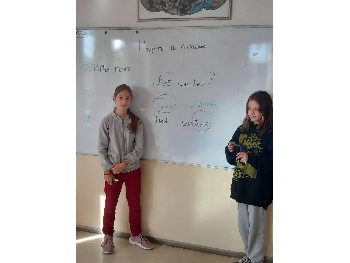 Поделба на согласките според звучноста