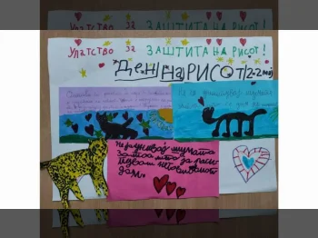 Македонски јазик – Медиумска култура 22-05-2023 - слика 10