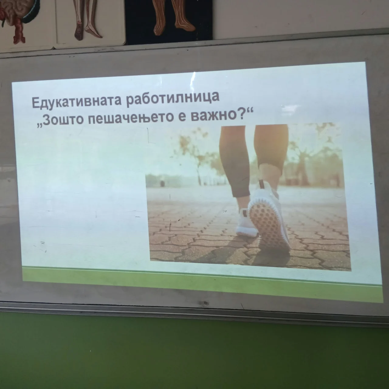 15 октомври – Светски ден на пешачењето
